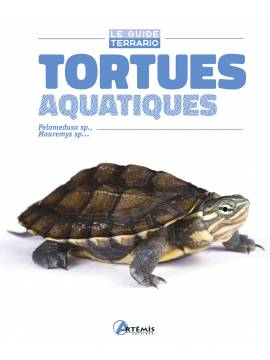 TORTUES AQUATIQUES