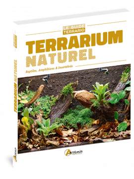 TERRARIUM NATUREL