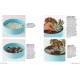TERRARIUMS - 33 PROJETS POUR CREER DES JARDINS MINIATURES