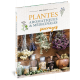 PLANTES AROMATIQUES ET MEDICINALES SAUVAGES