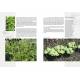 PLANTES AROMATIQUES ET MEDICINALES SAUVAGES