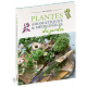 PLANTES AROMATIQUES ET MÉDICINALES DU JARDIN