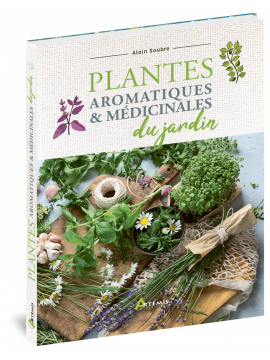 PLANTES AROMATIQUES ET MÉDICINALES DU JARDIN