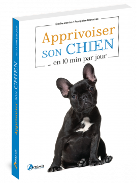 APPRIVOISER SON CHIEN EN 10 MINUTES PAR JOUR