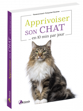 APPRIVOISER SON CHAT EN 10 MINUTES PAR JOUR