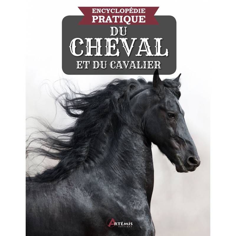 Calendrier Chevaux - artemis - 9782816016659 - Livre 