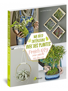 MA DÉCO INTÉRIEURE AVEC DES PLANTES PROJETS DIY