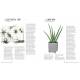 MA DECO INTERIEURE AVEC DES PLANTES PROJETS DIY