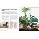 MA DECO INTERIEURE AVEC DES PLANTES PROJETS DIY
