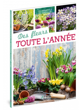 DES FLEURS TOUTE L'ANNEE