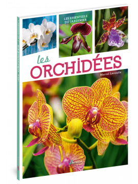 LES ORCHIDÉES