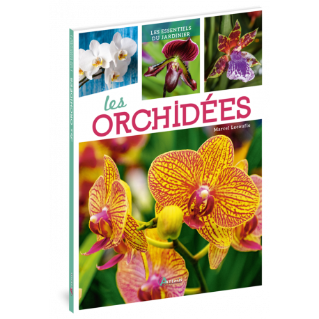 LES ORCHIDÉES