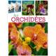 LES ORCHIDÉES