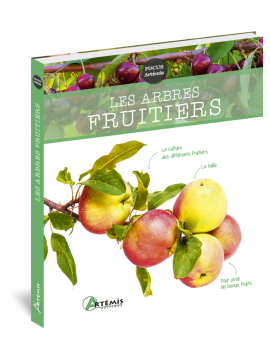 LES ARBRES FRUITIERS