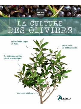 LA CULTURE DES OLIVIERS