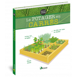 POTAGER EN CARRES