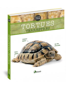 TORTUES TERRESTRES