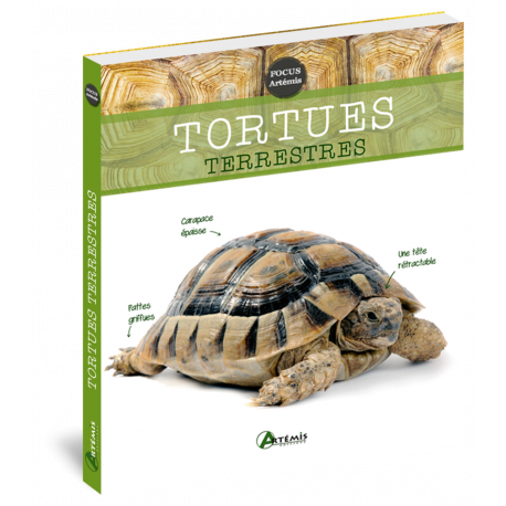 TORTUES TERRESTRES