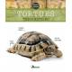 TORTUES TERRESTRES