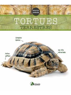 TORTUES TERRESTRES