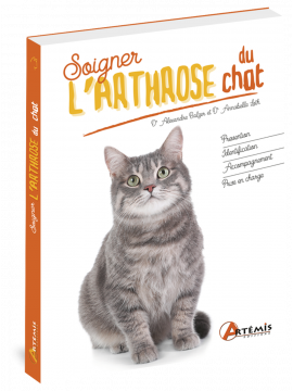 SOIGNER L'ARTHROSE DU CHAT