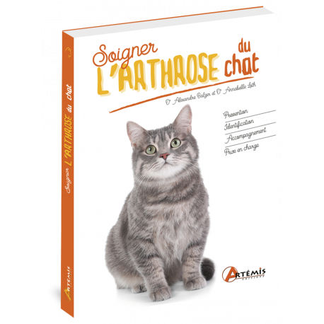 SOIGNER L'ARTHROSE DU CHAT