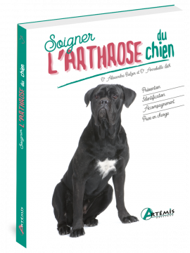 SOIGNER L'ARTHROSE DU CHIEN