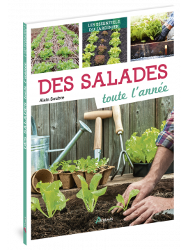 DES SALADES TOUTE L'ANNEE