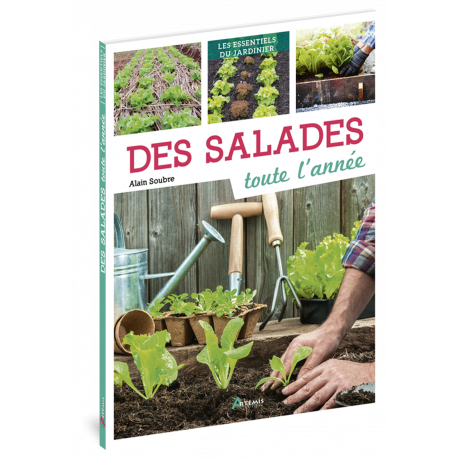 DES SALADES TOUTE L'ANNEE