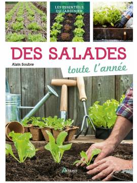 DES SALADES TOUTE L'ANNEE