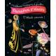 POUSSIERES D'ETOILES TABLEAUX MAGIQUES A GRATTER