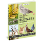 MES PETITS ELEVAGES AU JARDIN