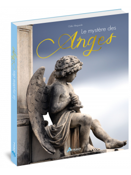 LE MYSTÈRE DES ANGES