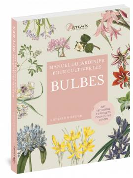 BULBES - MANUEL DU JARDINIER