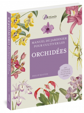 ORCHIDEES - MANUEL DU JARDINIER