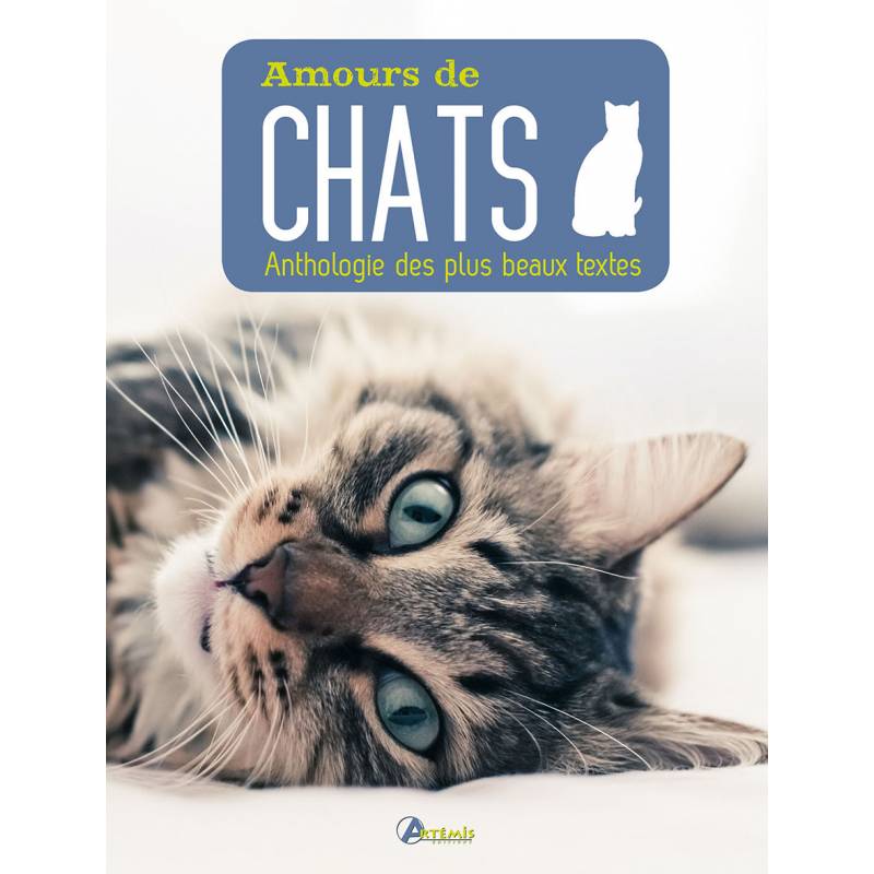 20 ouvrages venus d'Asie pour les amoureux des chats