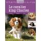 CAVALIER KING CHARLES