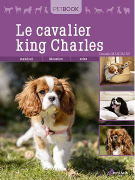 CAVALIER KING CHARLES
