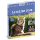 MAINE COON