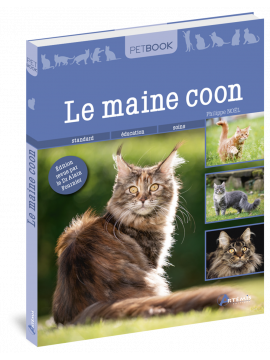 MAINE COON