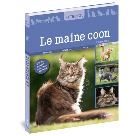 MAINE COON