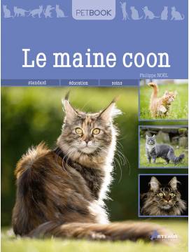 MAINE COON