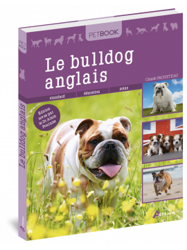 BULLDOG ANGLAIS