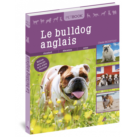 BULLDOG ANGLAIS