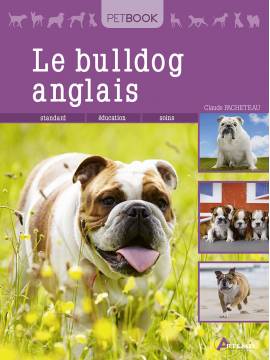 BULLDOG ANGLAIS