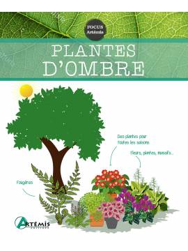 PLANTES D'OMBRE
