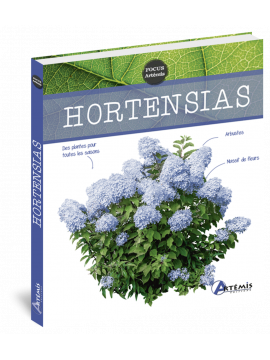 HORTENSIAS