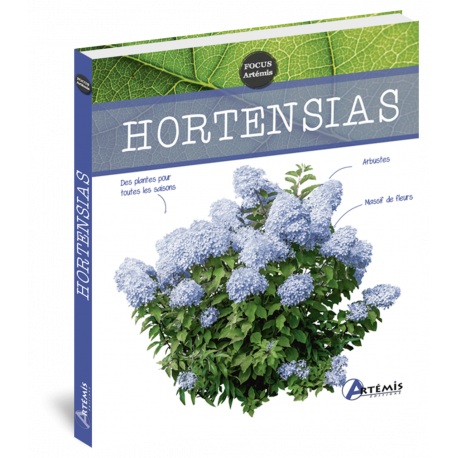 HORTENSIAS