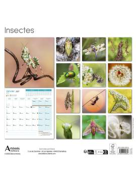 CALENDRIER INSECTES 2027