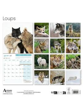 CALENDRIER LOUPS 2027